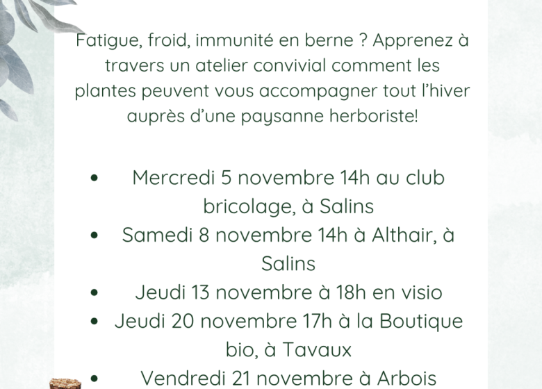 Les plantes pour l’hiver