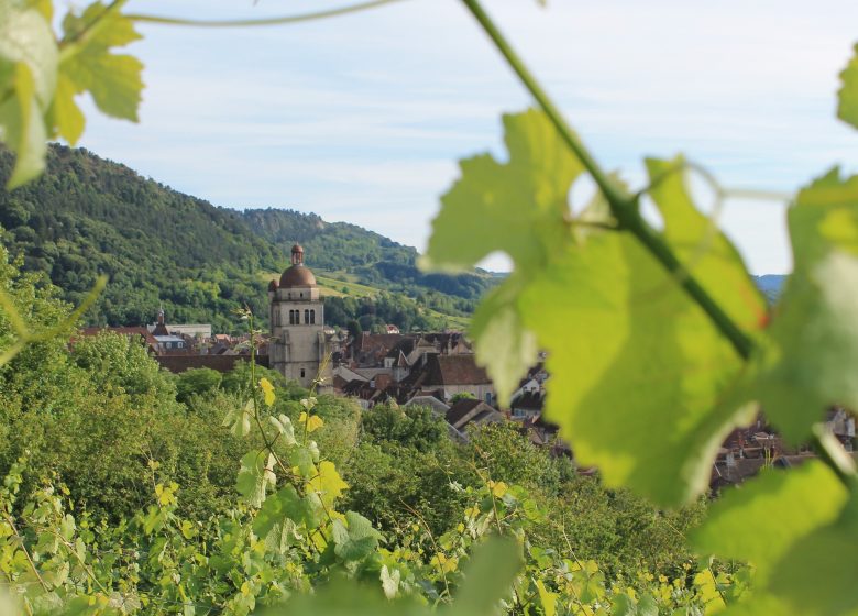 De la vigne au verre