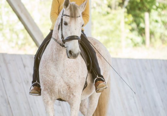 Les Chevaux de Beltane