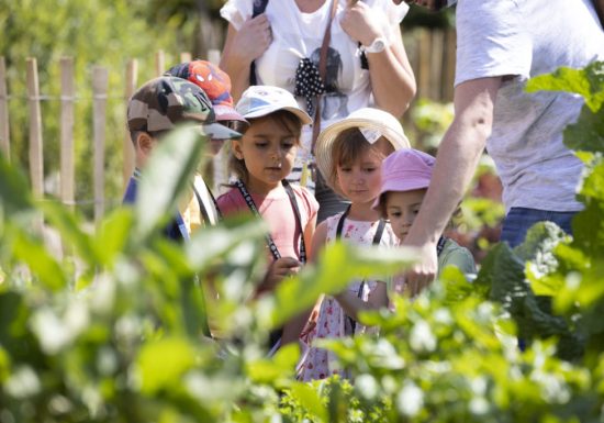 Les p&rsquo;tits ateliers du printemps