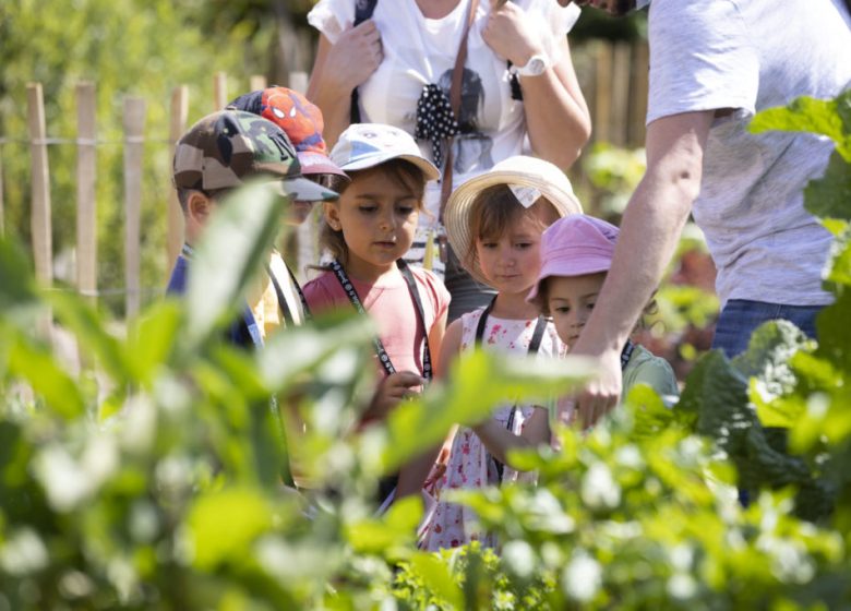 Les p&rsquo;tits ateliers du printemps