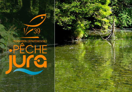 La Gaule Régionale Salinoise