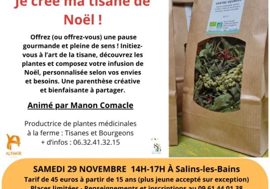 Je crée ma tisane de Noël