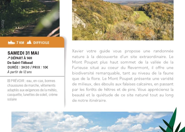 Une histoire du mont Poupet