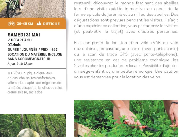 Vélo gourmand