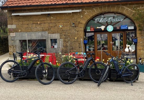 Location Vélo Electrique