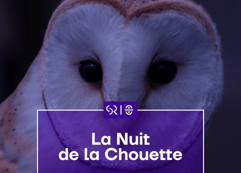 [COMPLET] La Nuit de la Chouette