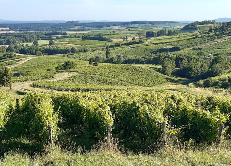 Les Prunelles