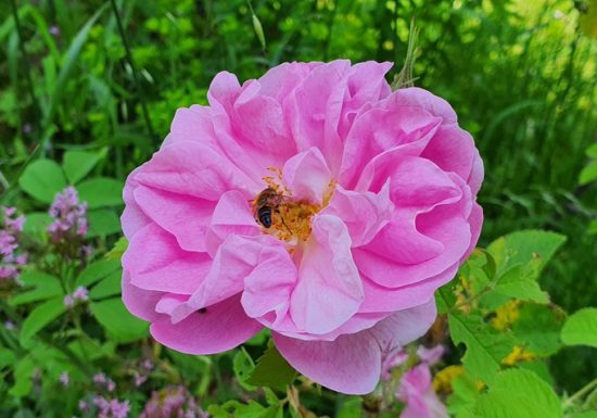 Voir l&rsquo;invisible, sentir l&rsquo;essentiel