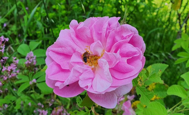 Voir l&rsquo;invisible, sentir l&rsquo;essentiel