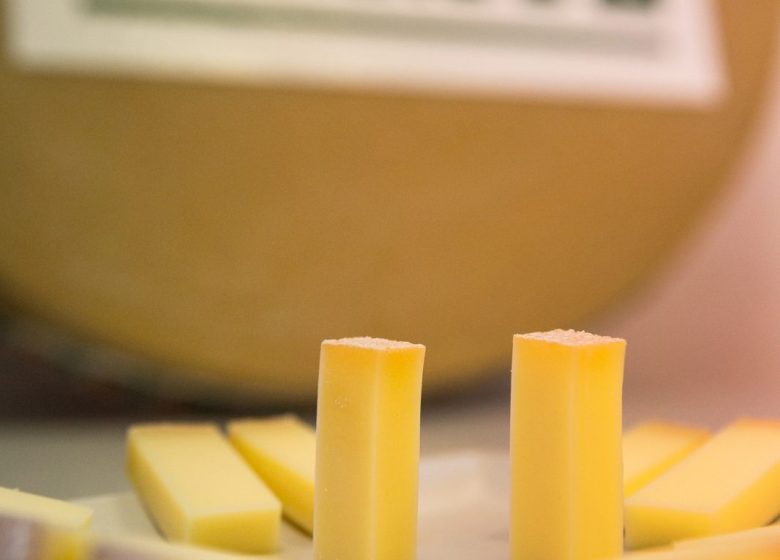 Visite de fruitières à Comté du massif jurassien