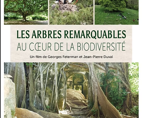 Les arbres remarquables