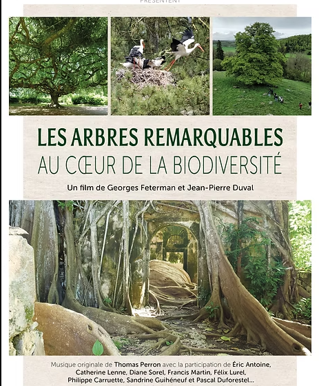 Les arbres remarquables