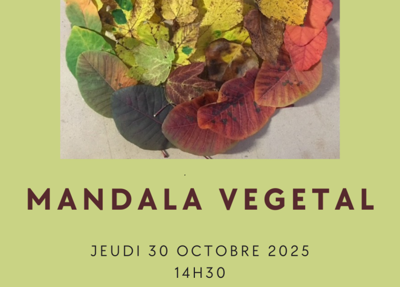 Atelier enfant – Mandala végétal