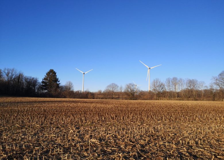 Sentier pédagogique des éoliennes de Chamole