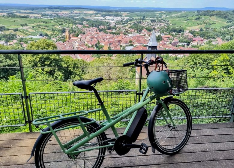 A Tour de Roues