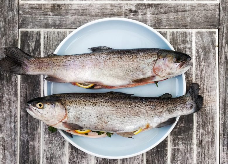 La Pisciculture des Grottes