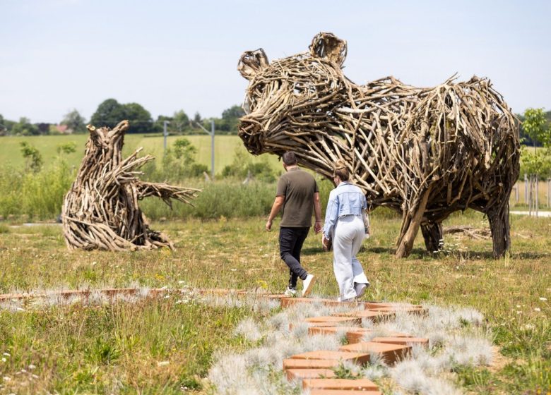 Festival des jardins 2026 – Les insectes : Le monde de la métamorphose