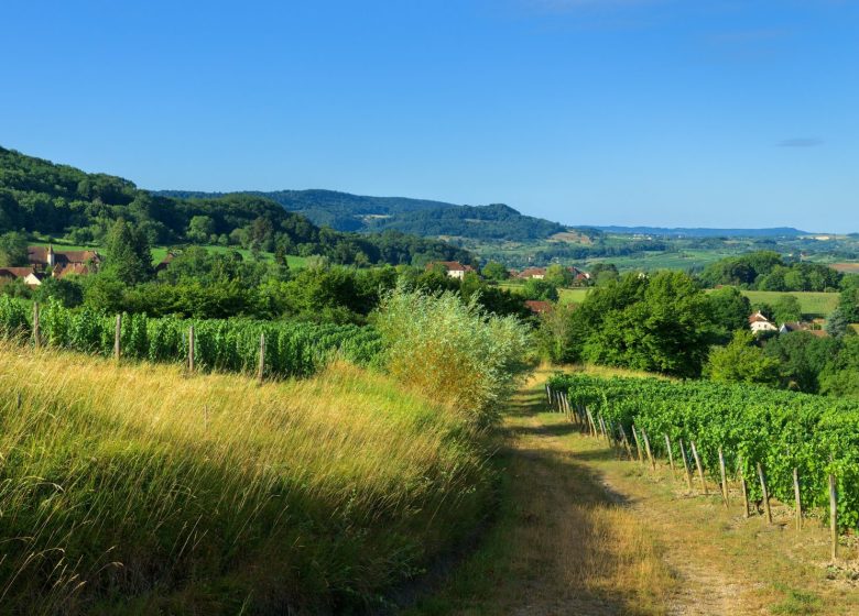 Echappée Jurassienne Pédestre – Étape 4 : Salins les Bains – Montigny les Arsures
