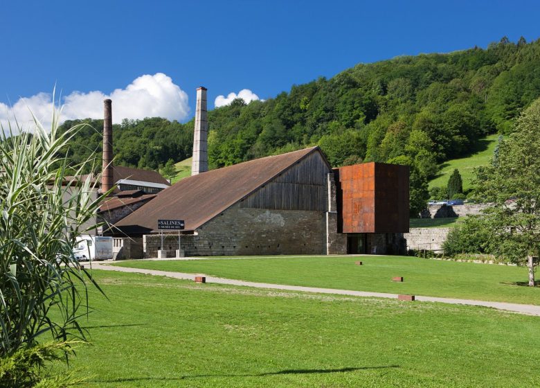Salins les Bains et le Mont Poupet