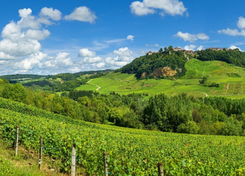 Tour du Jura Vélo Loisirs – Étape 4 : Poligny – Chaumergy