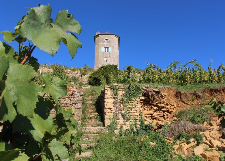 Week-end Gourmand à Arbois