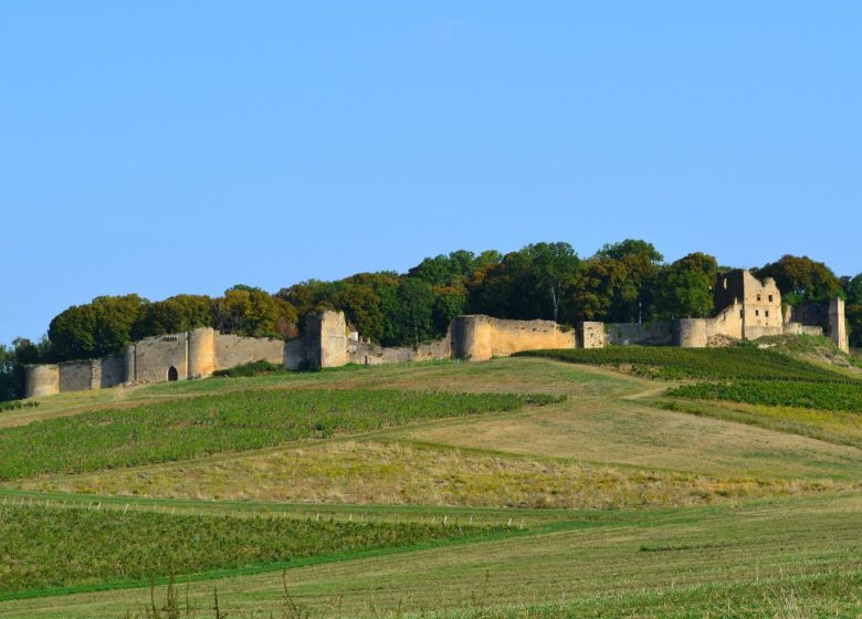 Tour du Jura Vélo Loisirs – Étape 4 : Poligny – Chaumergy