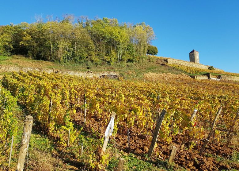 Tour du Jura Vélo Loisirs