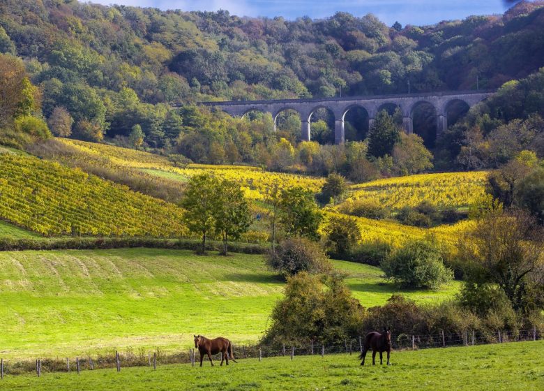 Echappée Jurassienne Pédestre – Étape 4 : Salins les Bains – Montigny les Arsures