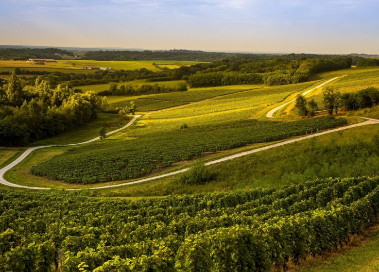 Tour du Jura Vélo Loisirs – Étape 4 : Poligny – Chaumergy