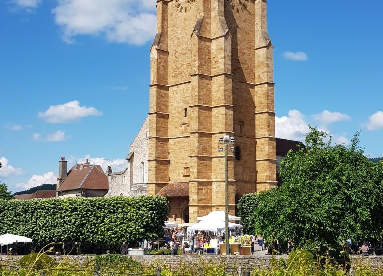 Balades entre les vignes : Arbois