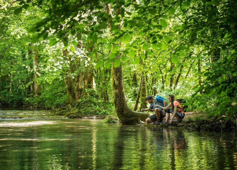 Tour de la Reculée des Planches-Près-Arbois