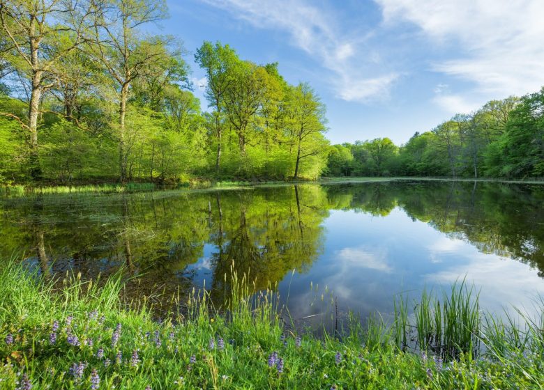 Tour du Jura Vélo Loisirs – Étape 4 : Poligny – Chaumergy
