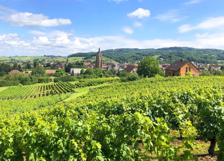 Circuit des Arces – 11V