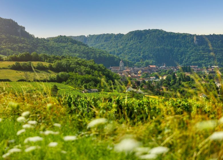 Boucle 24 : la Coulée Douce