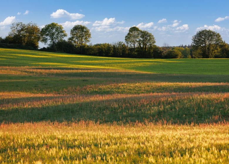 Les Vestiges du Passé – 2B