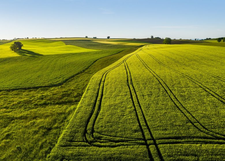 Les Puits Romains – 1V