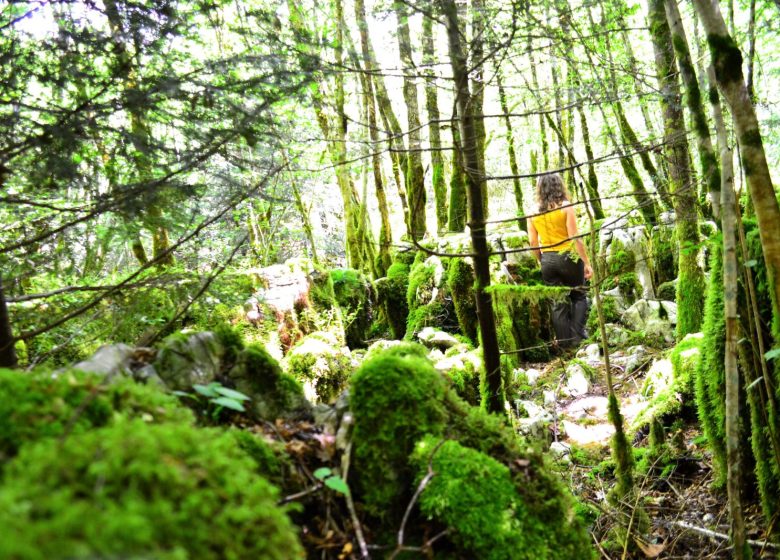 Le Sentier karstique des Malrochers