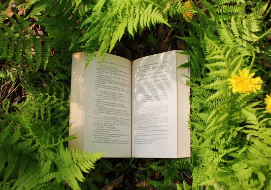 Rencontre avec Caroline Hinault