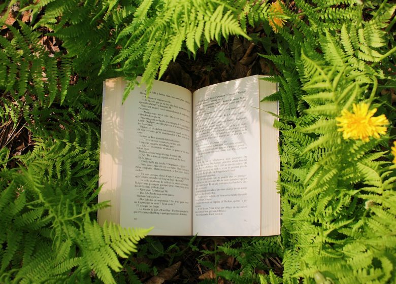 Rencontre avec Caroline Hinault