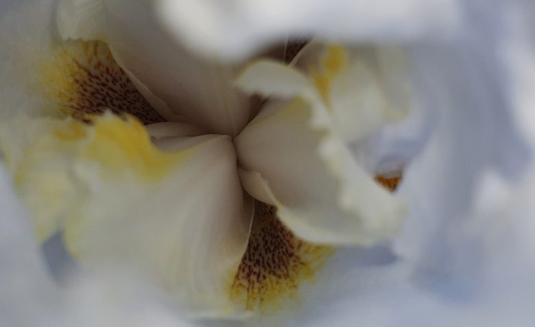 Voir l&rsquo;invisible, sentir l&rsquo;essentiel