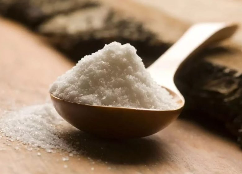 Les p&rsquo;tits ateliers du printemps