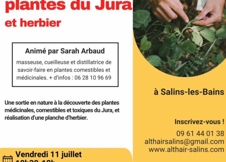 Plantes du Jura