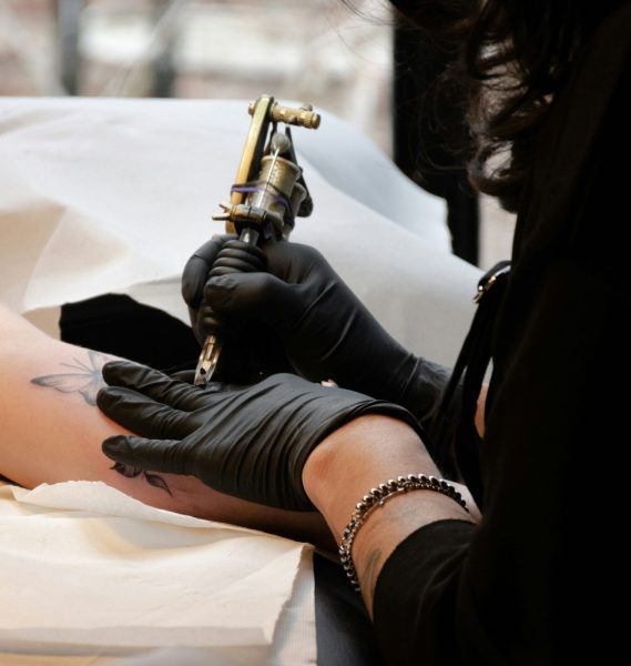 Les animaux dans la peau