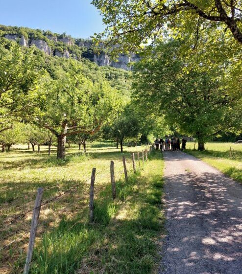 LES PLANCHES PRES ARBOIS