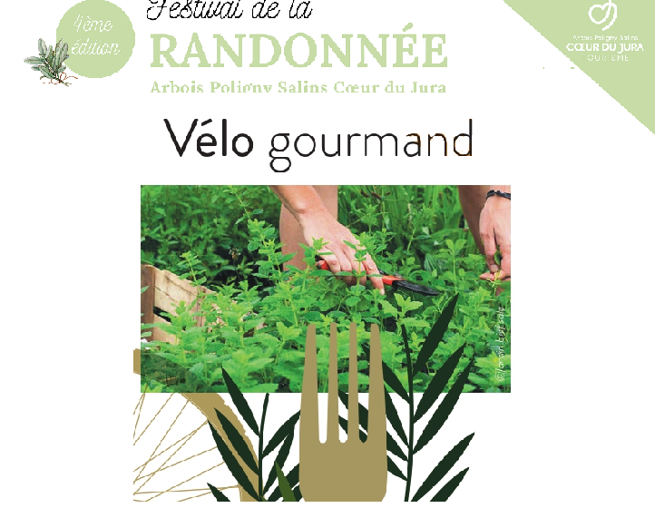 Vélo gourmand